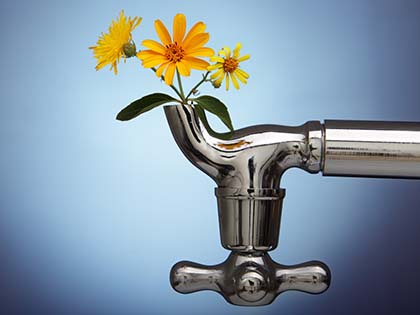 spring plumbing maintenance