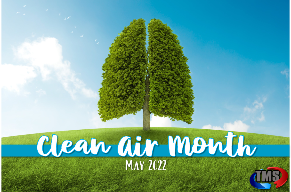 Clean Air Month Why Clean Air Is Important Total Mechanical Systems