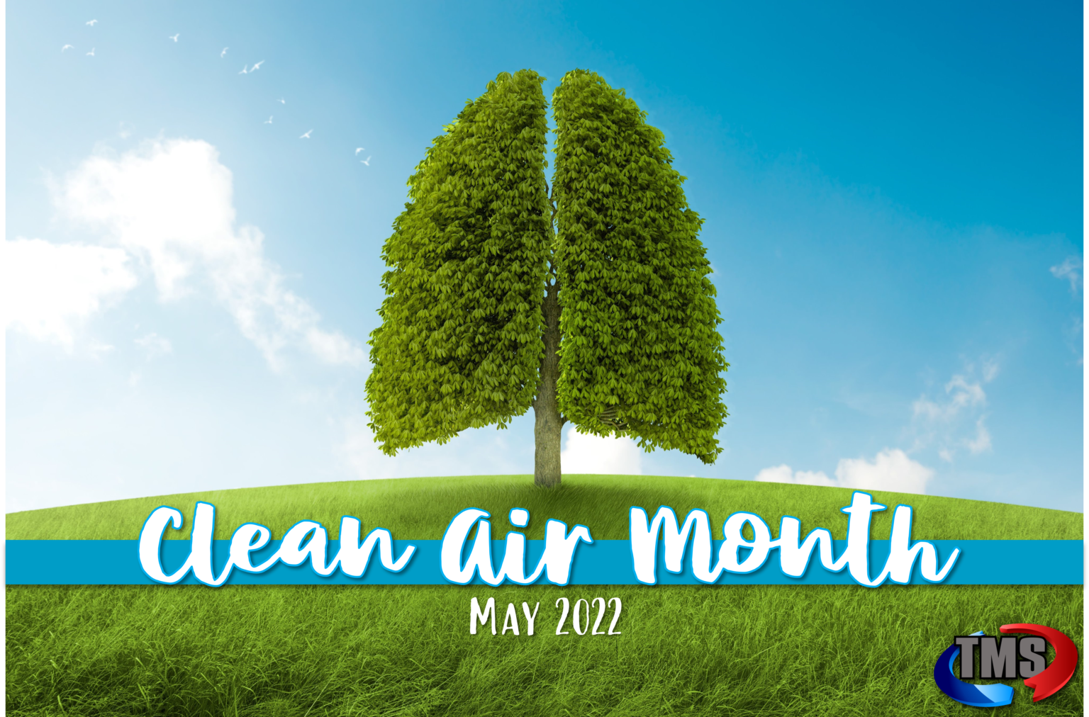 Clean Air Month Why Clean Air Is Important Total Mechanical Systems