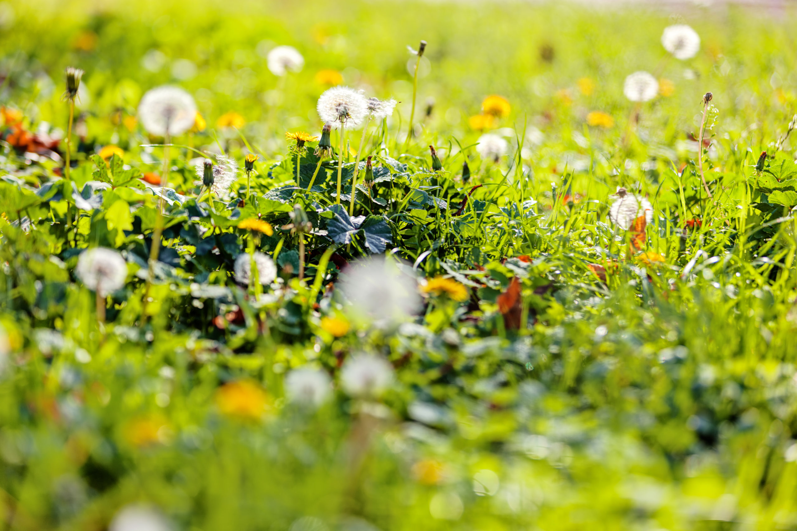 hay fever air conditioning