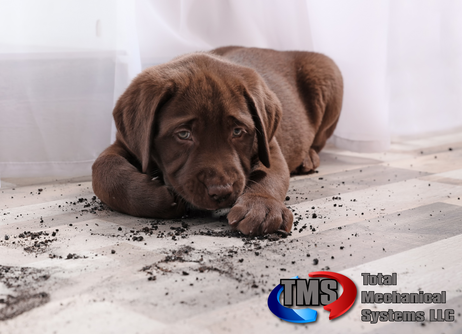 pets HVAC system dirt debris efficiency