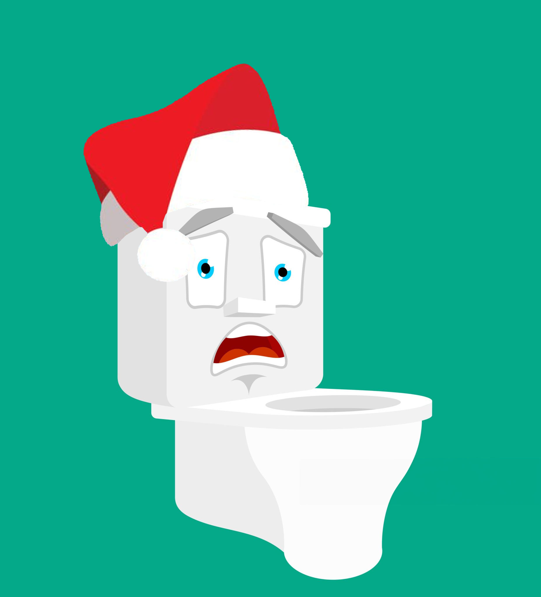 TMS has preventative plumbing services to make sure your bathroom is ready for holiday guests