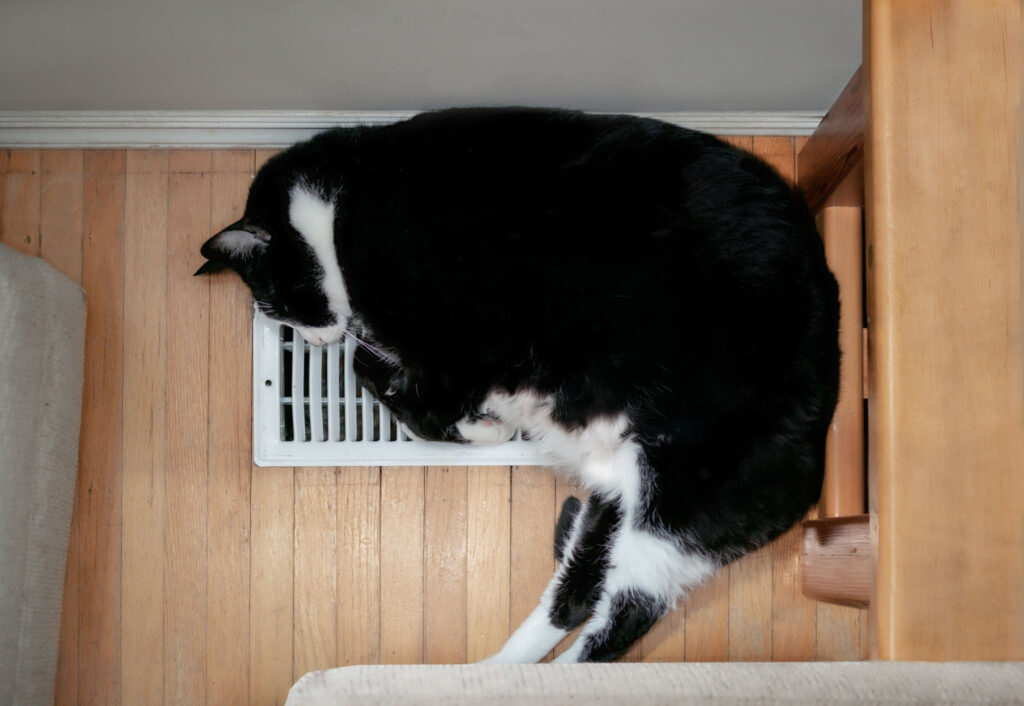 TMS tips- make sure your heating vents are clear of obstructions